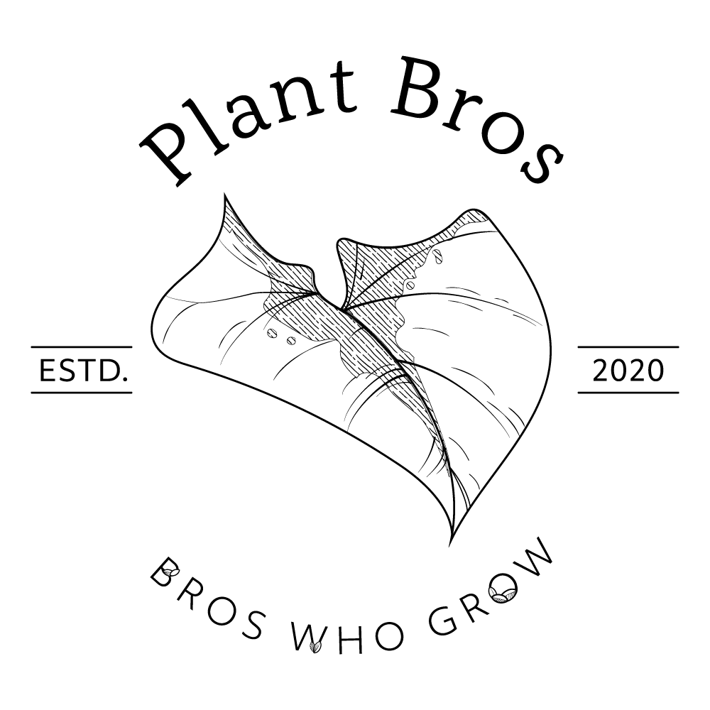 Plant bros logo - black & white | logo design